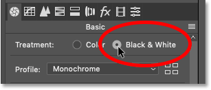 Setting the Treatment option in Photoshop
