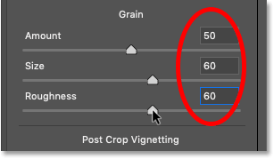 The Grain settings in the Effects panel in Photoshop