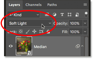 Changing the blend mode of the Median layer to Soft Light. Image © 2013 Photoshop Essentials.com