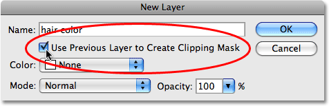 Choose the Use Previous Layer To Create Clipping Mask option. Image © 2008 Photoshop Essentials.com