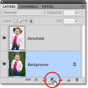 The New Fill or Adjustment Layer icon in the Layers panel in Photoshop. Image © 2008 Photoshop Essentials.com