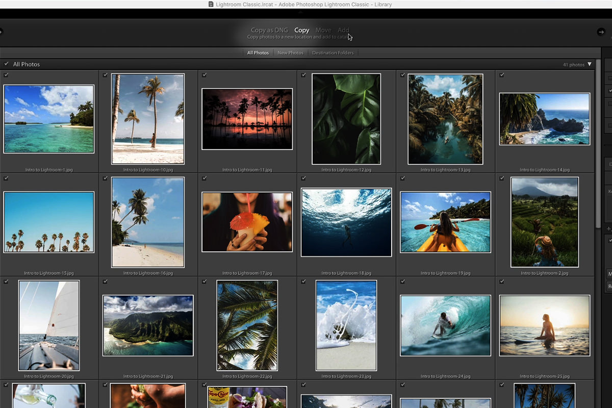 Adobe photoshop lightroom программы для организации изображений