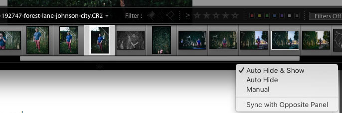 Автоматическое скрытие панели при обработке фото в Лайтрум