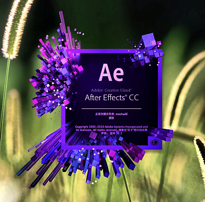 Приглашение на свадьбу проект adobe after effects