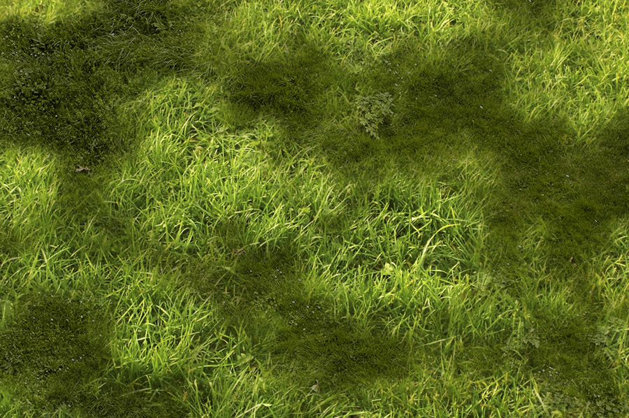 Текстура травы для 3d max
