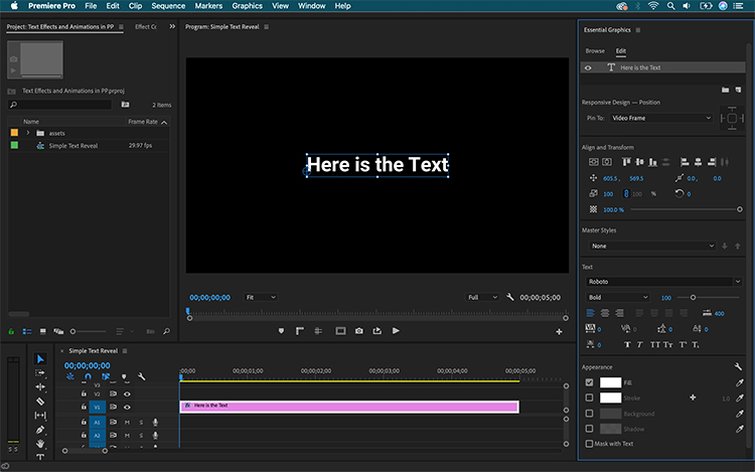 How to Create Text Effects and Animations in Premiere Pro - Add Text