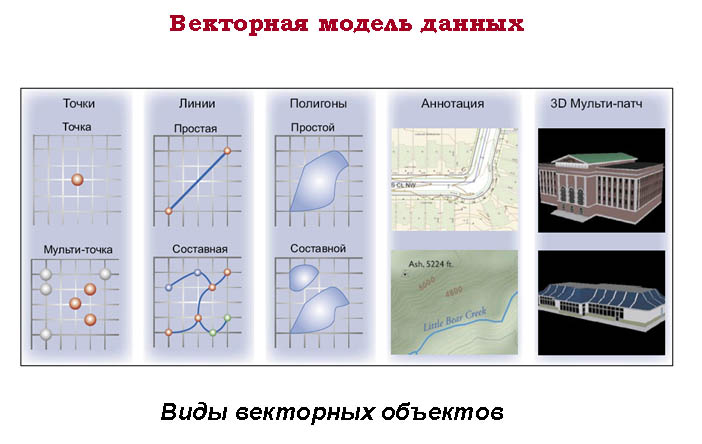 Чем отличается векторная карта от растровой