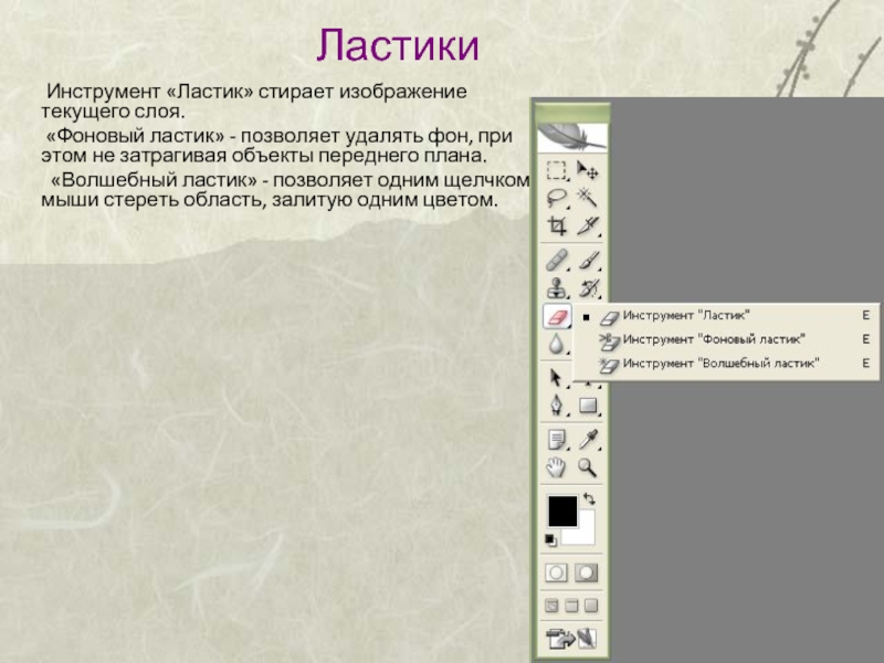 Волшебный ластик в фотошопе. Фоновый ластик в фотошопе. Инструмент ластик в фотошопе. Волшебная ластик Photoshop.