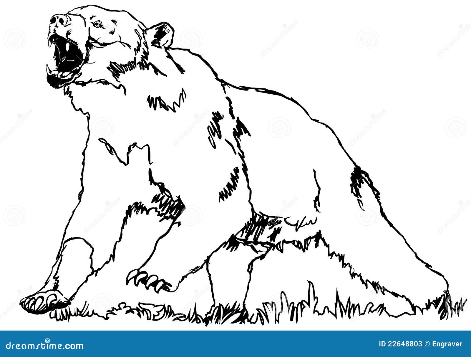 Медведь рычит раскраска
