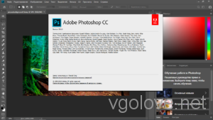 Скачать Adobe Photoshop CC 2019 20.0 с ключом